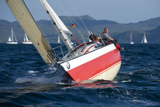 poppy gbr4183 whw12 fri gjmc 8487